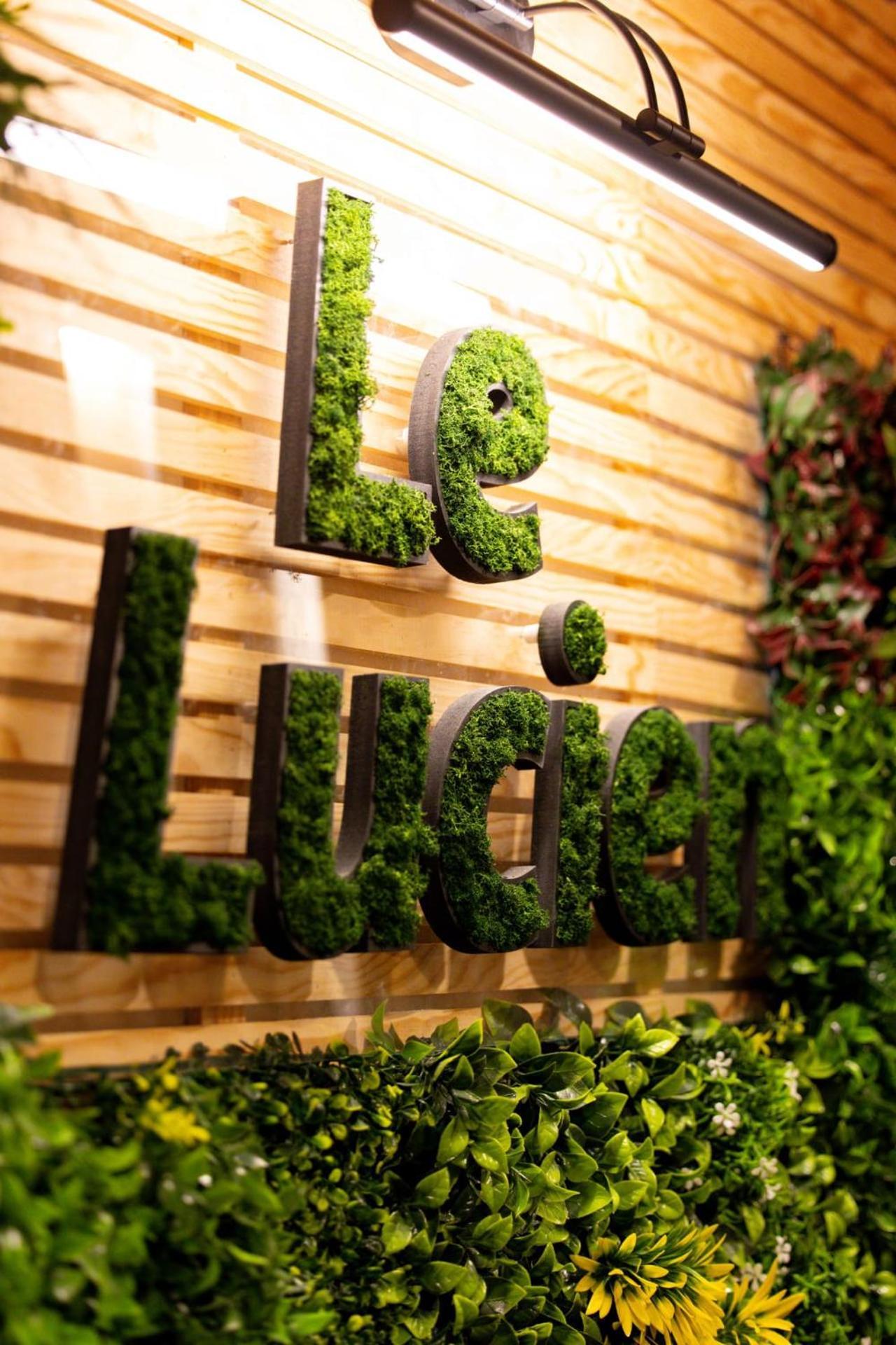 Le Lucien Eco-Appart'Hotel - Angouleme - Centre - Wifi - Parking Prive - Classe 4 Etoiles Eksteriør bilde
