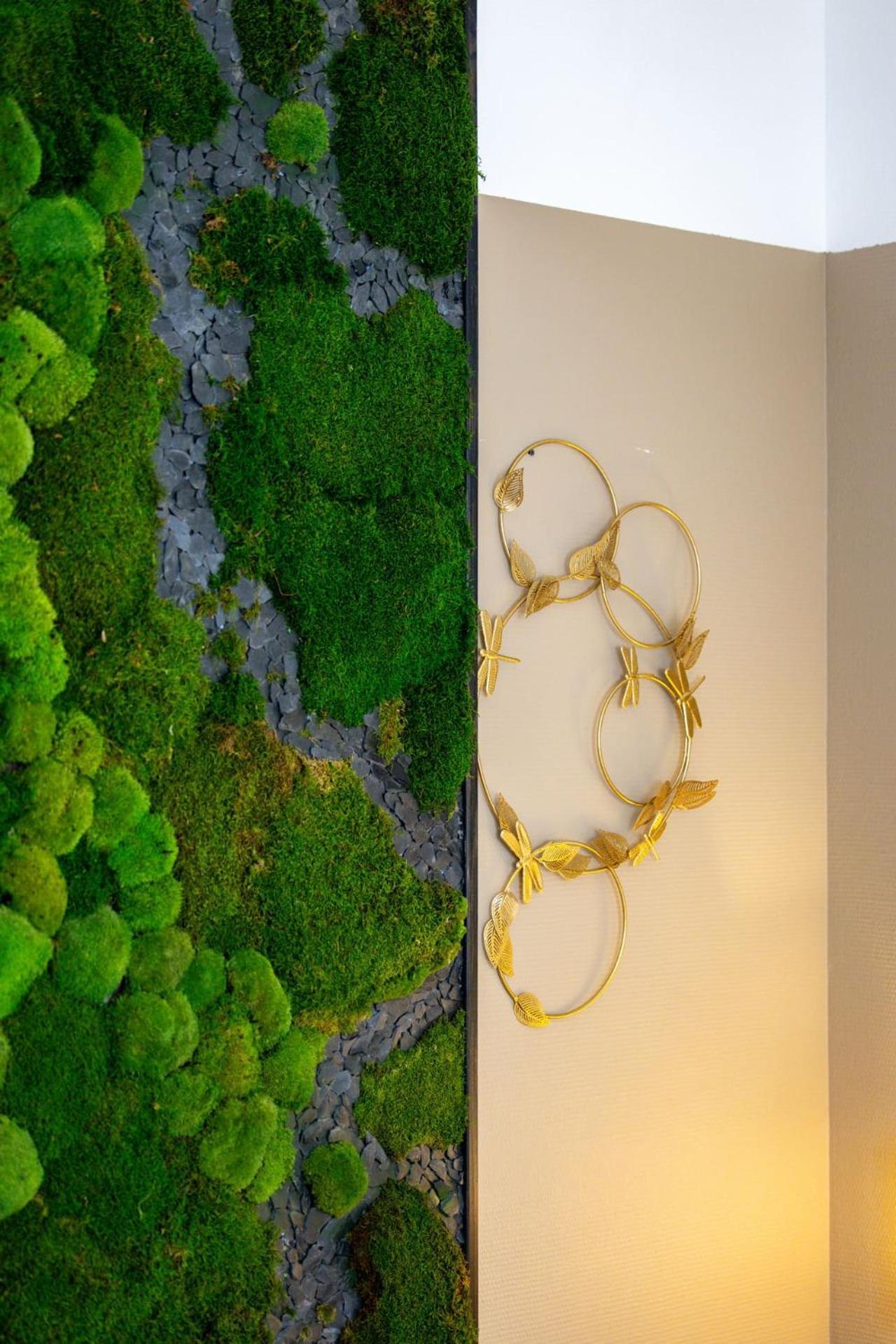 Le Lucien Eco-Appart'Hotel - Angouleme - Centre - Wifi - Parking Prive - Classe 4 Etoiles Eksteriør bilde